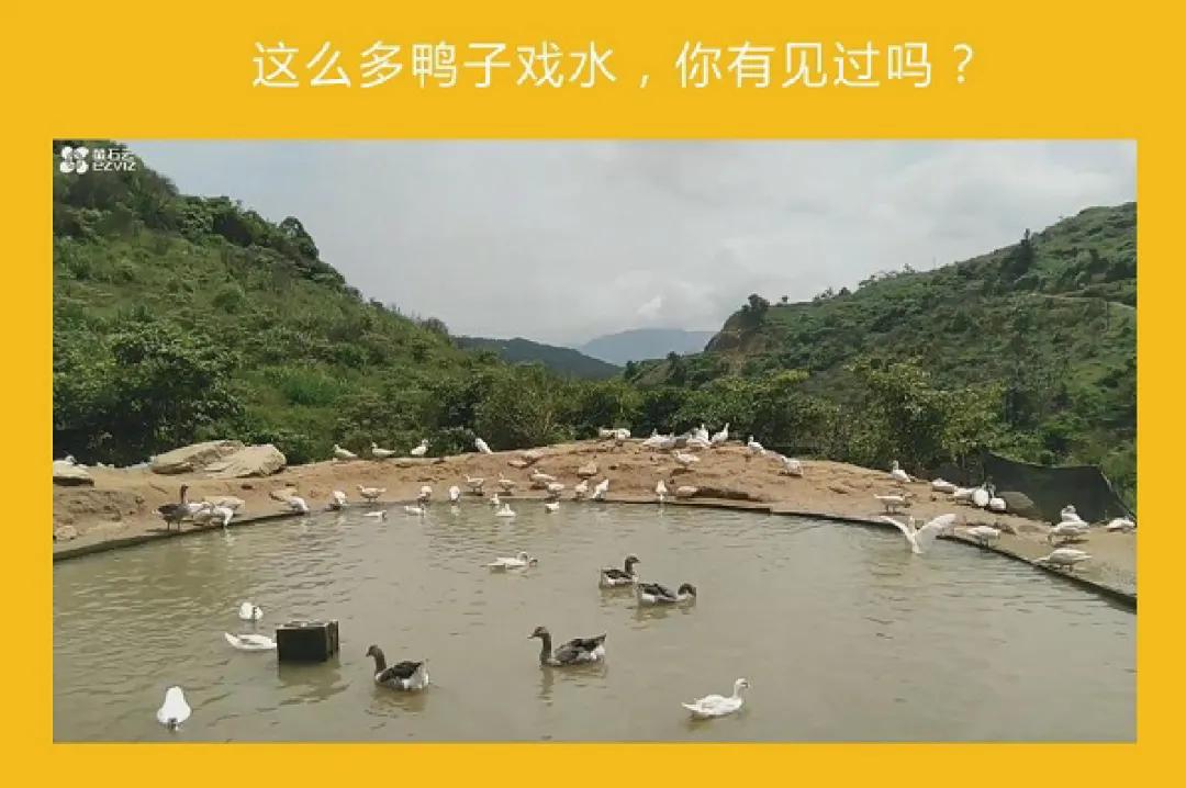 躺着能看到世界,躺着看世界的视频