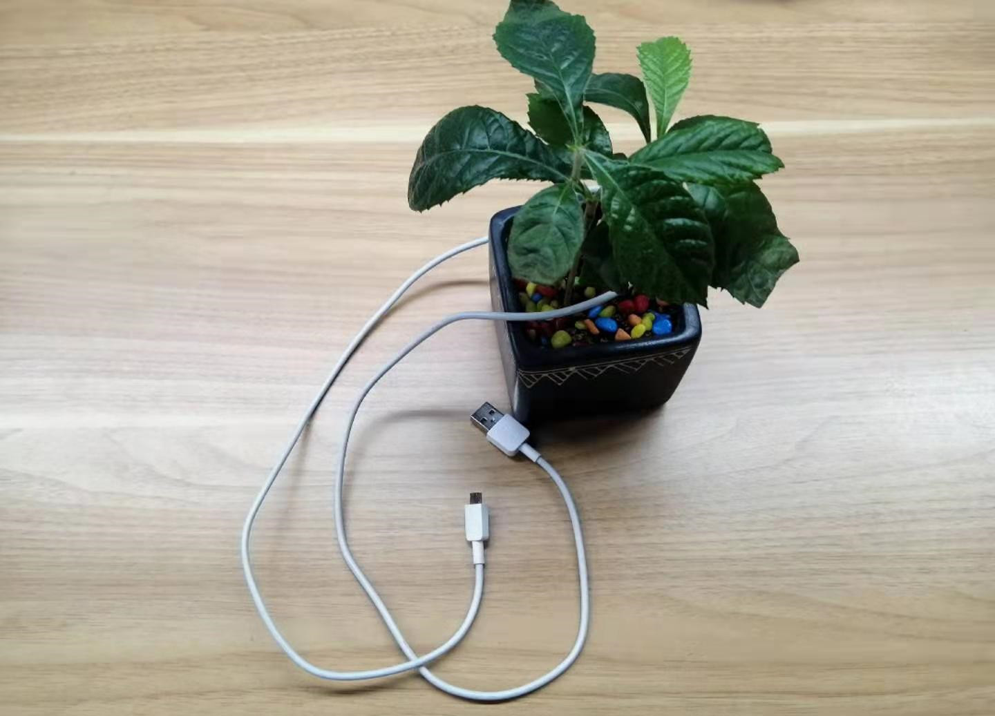 如何让手机数据线变干净,手机数据线脏了怎么清理