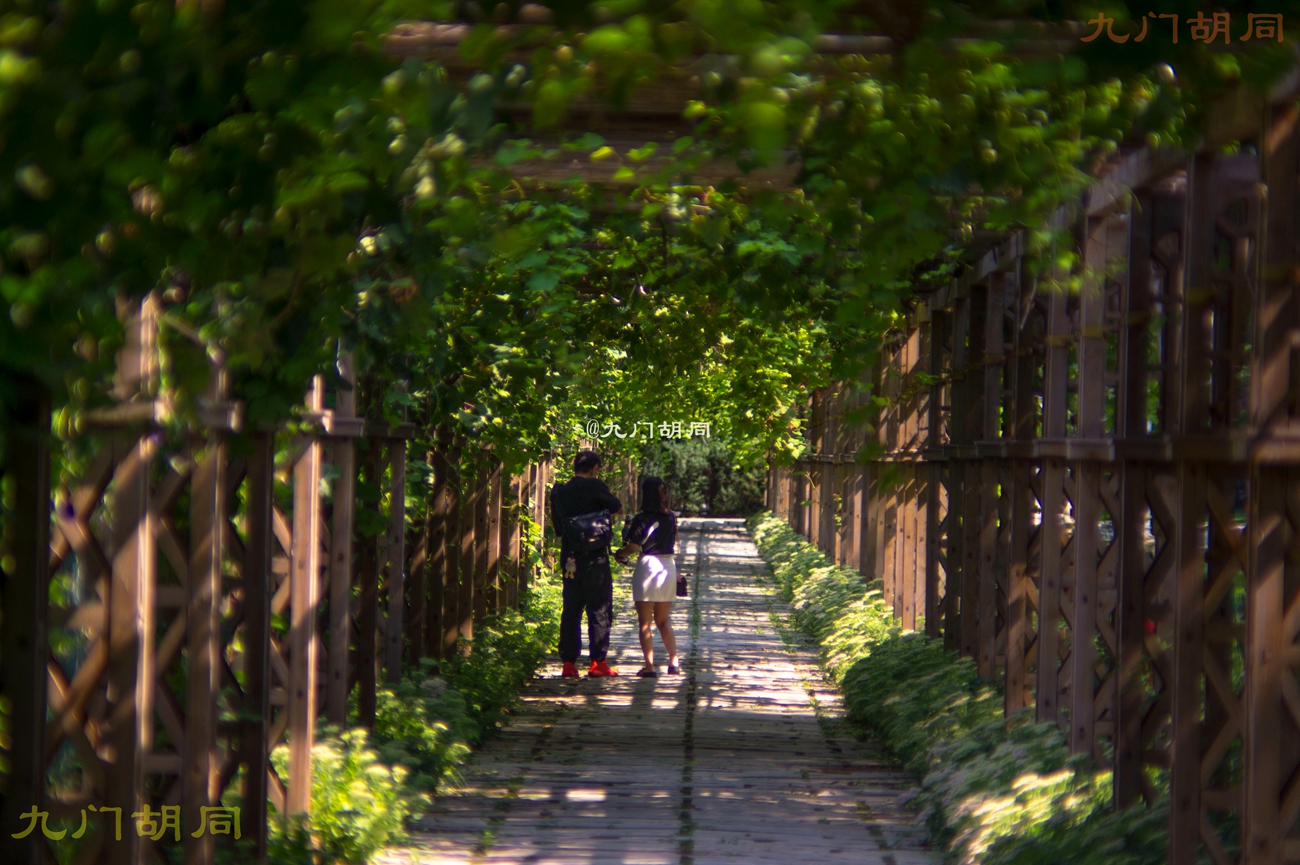 北京密云张裕爱斐堡酒庄一日游,密云张裕爱斐堡酒庄好玩吗