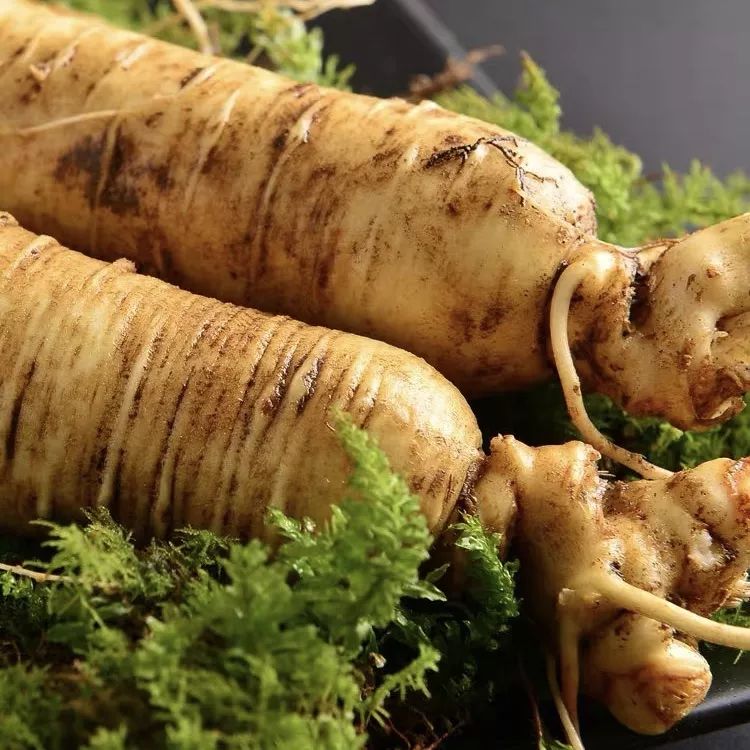 长白山鲜人参煲鸡,长白山精品袋装鲜人参炖鸡