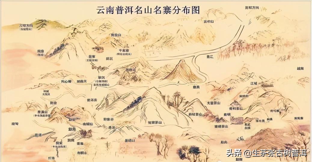 新手选茶6个小技巧,选购茶叶小知识