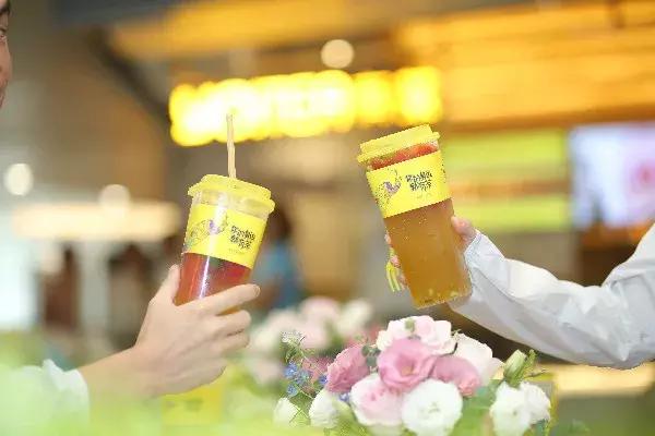 有茶制造加盟官网,有茶招商加盟