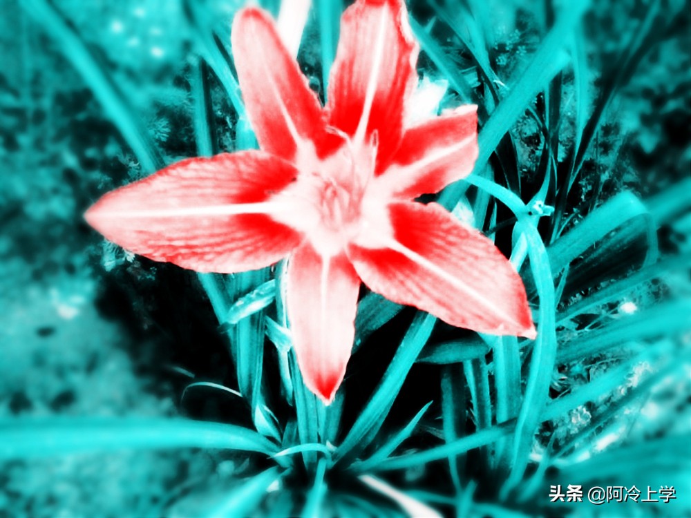 读音改来改去有意思吗,最新更改的读音