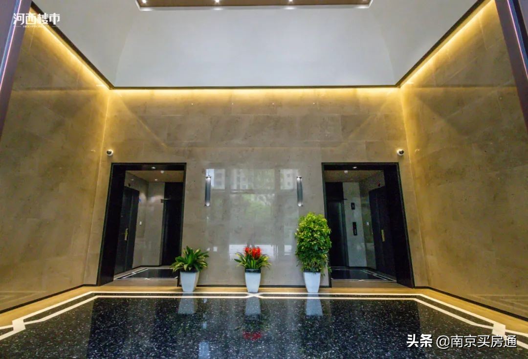 河西中新豪宅全景图,河西中心豪宅内部图片