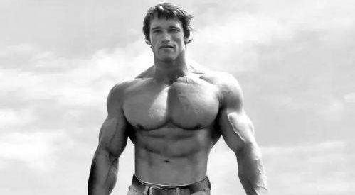 施瓦辛格与妻子离婚案持续10年半,施瓦辛格在终结者中是反派吗