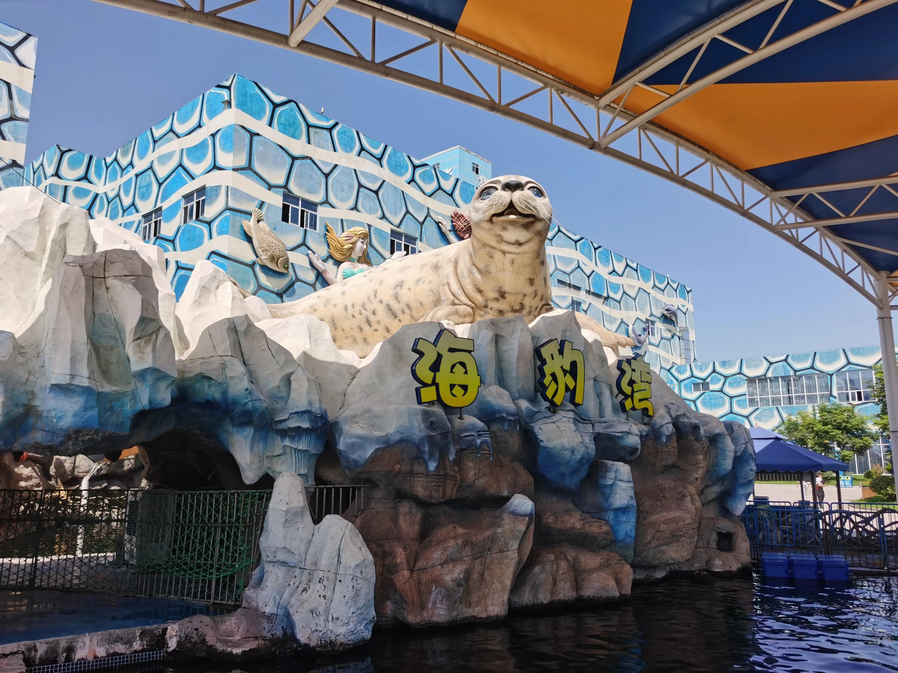 华夏文旅5d飞越丝路观看需要多久,西安华夏文旅丝路飞跃