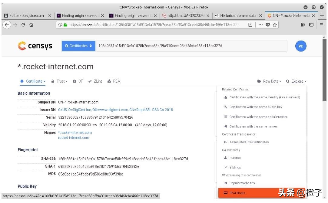 11种绕过cdn查找真实ip方法,如何绕过cdn获取真实地址