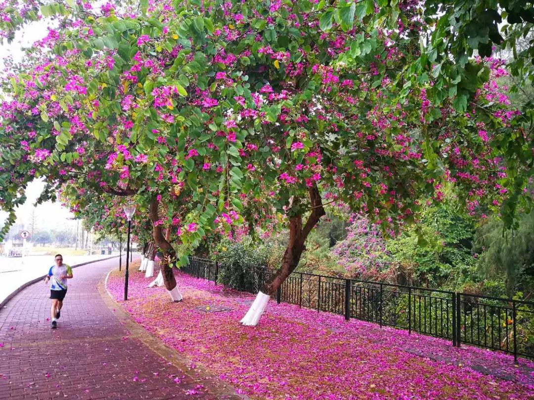 肇庆体育中心体育馆,肇庆最大的体育中心