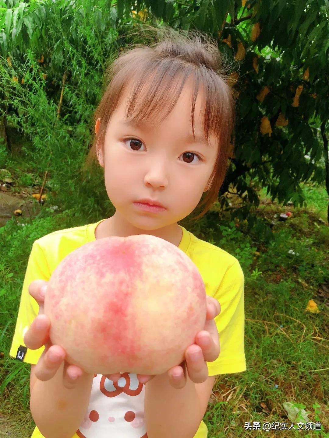 只有辛苦付出才有喜悦的收获,只有辛苦的付出才有丰收的喜悦