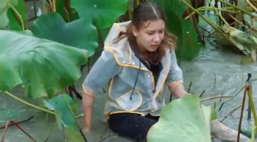 纯素人、偏公益，《谁知盘中餐》为何一举拿下四网省级卫视第一