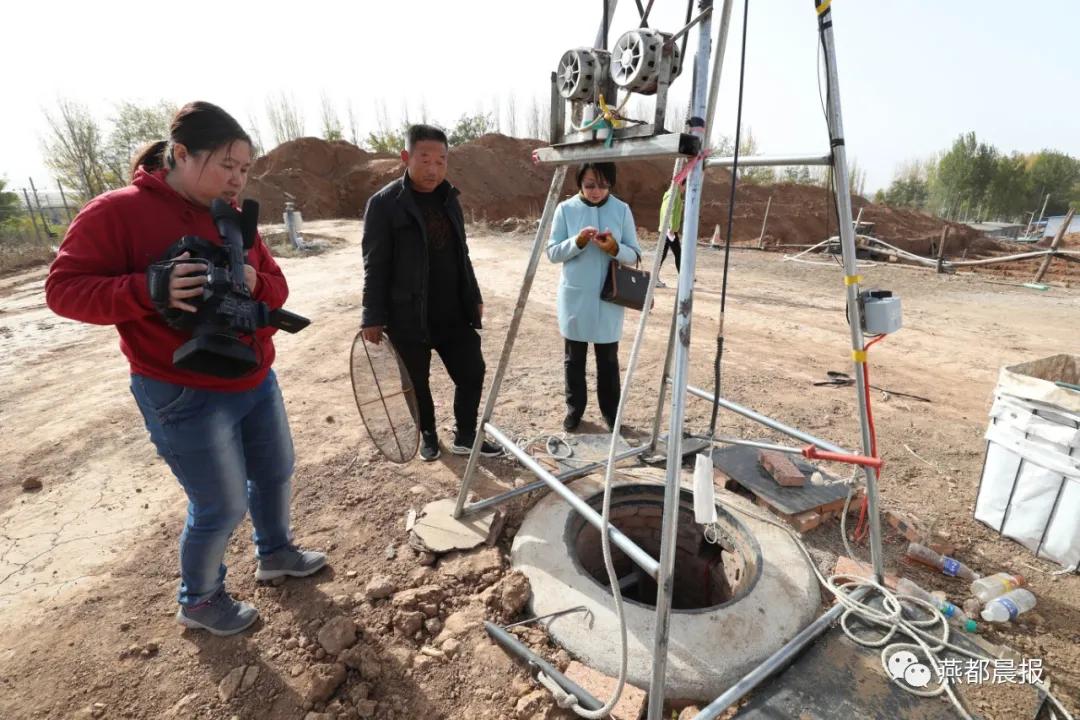 种植生姜喜丰收,一亩地2万斤大姜种植