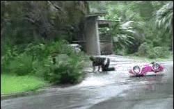 a站b站n站是什么意思,网友说的a站b站什么意思