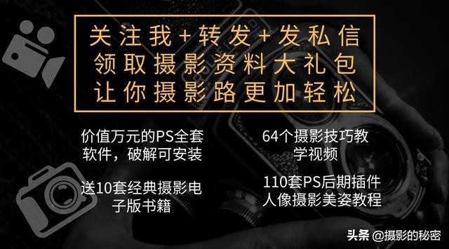 怎样给小猫咪拍出好看的照片,怎么拍出小猫照