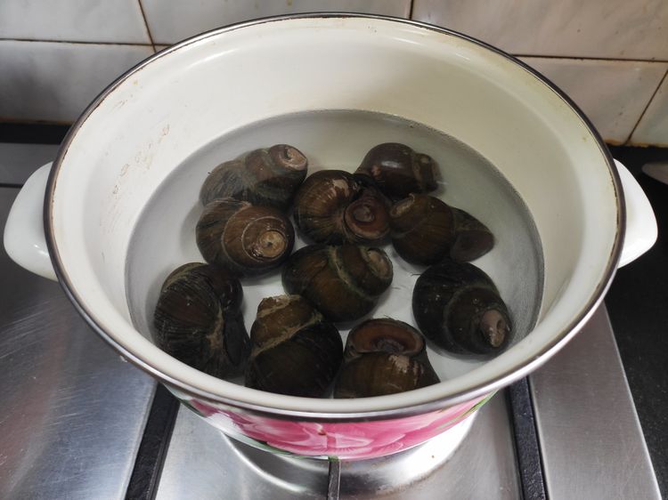 清蒸田螺做法大全家常,吃超大清蒸的田螺