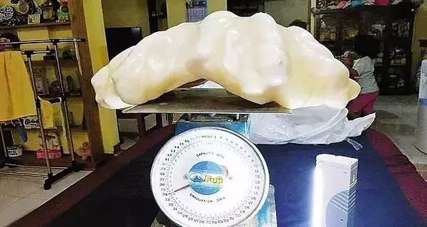 珍珠粉压成的珍珠和真珍珠差别,99%的人不知道的珍珠冷知识