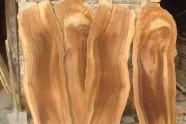 关于柴的来历,几种常用木材的区别