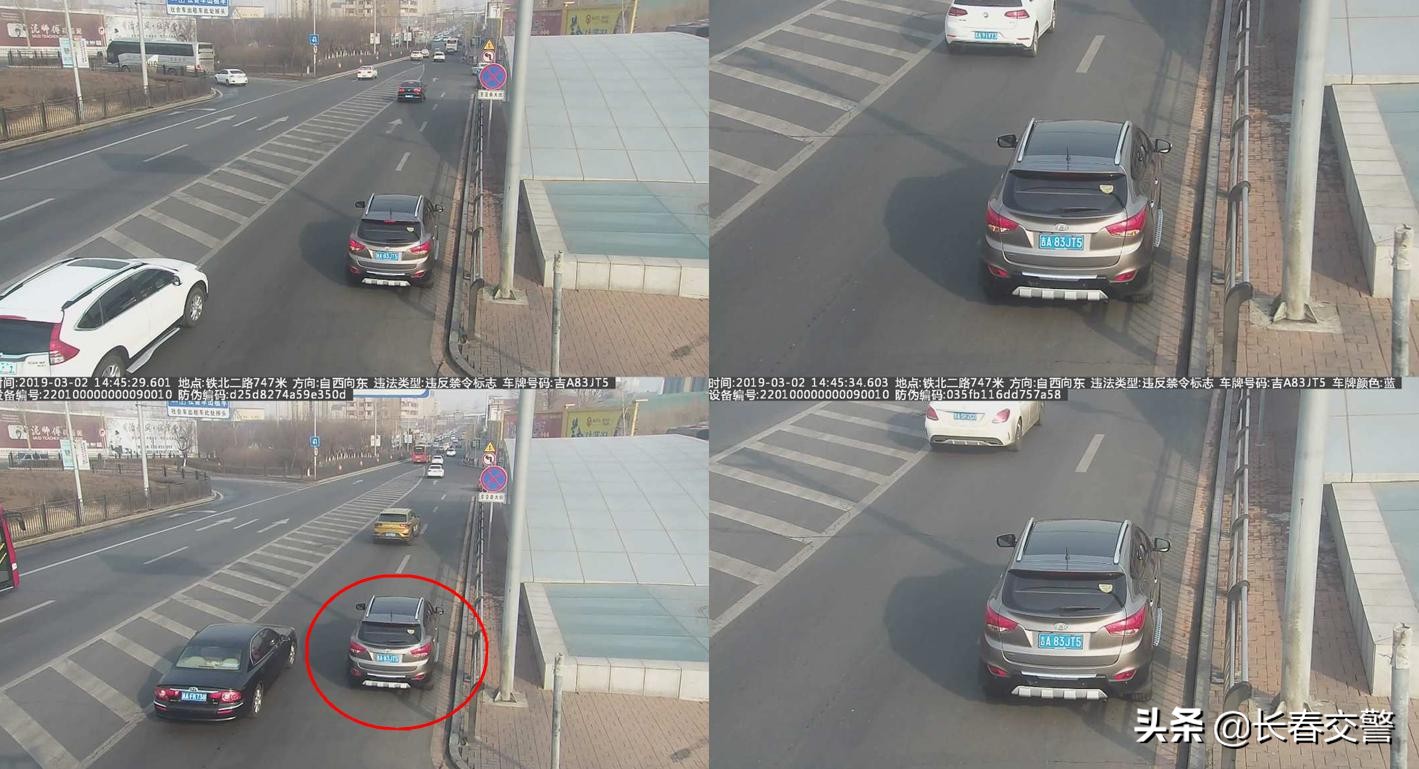 违法曝光台,违法曝光台第96期