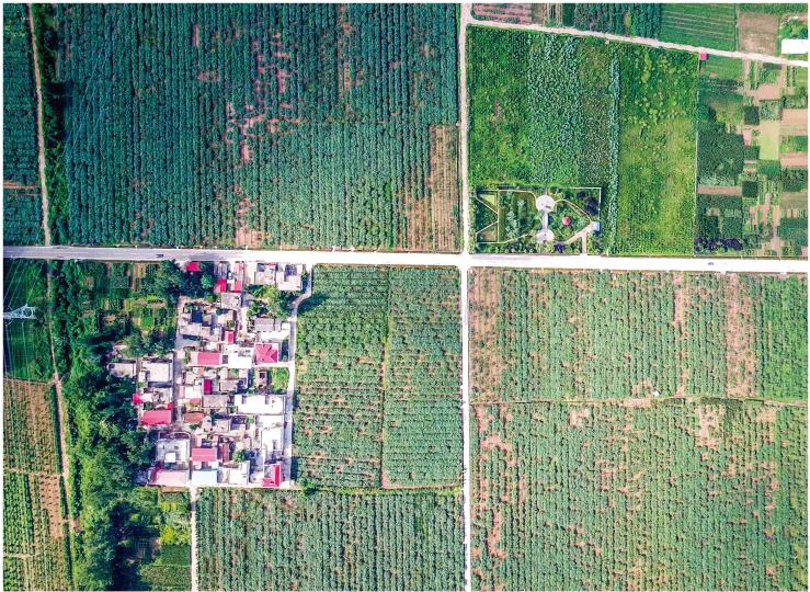 南阳｜南北过渡带上的“聚宝盆”，养出南阳人“纠结的舌头”