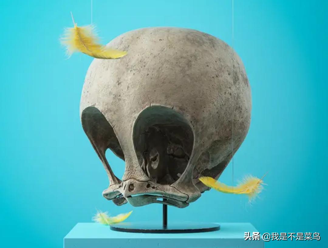 这些千年之后被石化的卡通人物，你能认出几个？