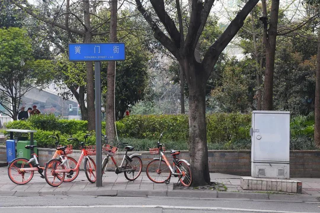 成都街巷志|猜猜母猪湾和猫猫巷在哪儿?