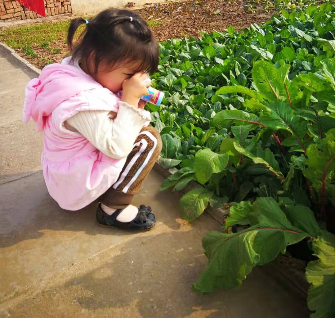 智慧父母给孩子的忠告,智慧父母一定会问孩子的七个问题