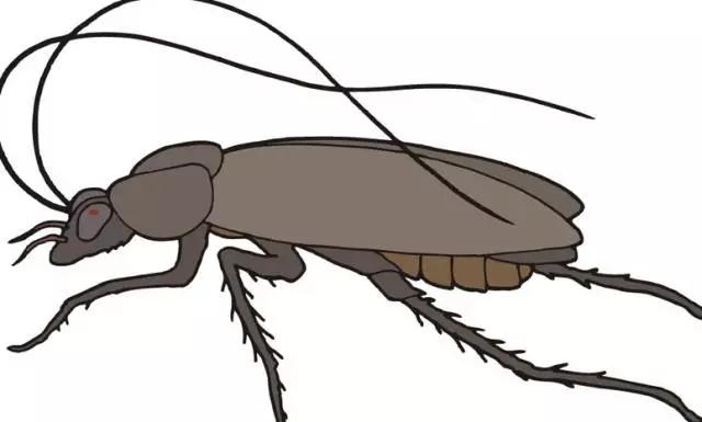 真假难辨的生活常识,真假生活小常识