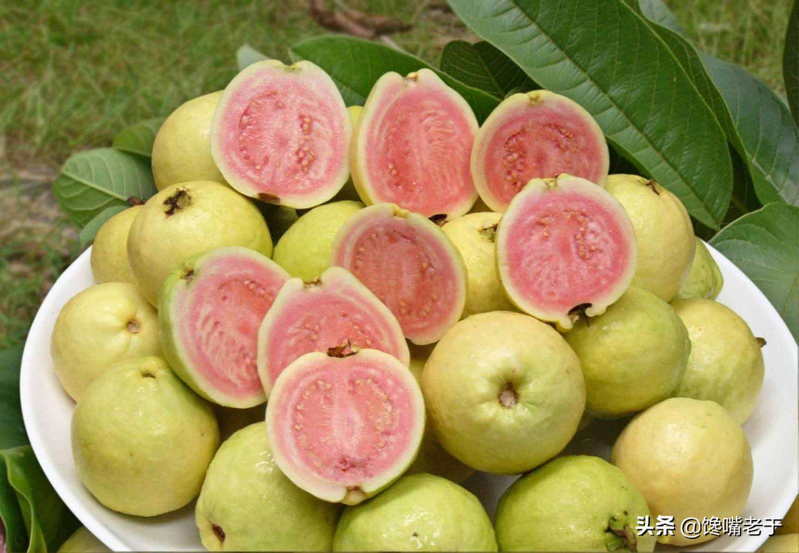 惊蛰当季水果蔬菜,惊蛰节气吃什么水果比较养生