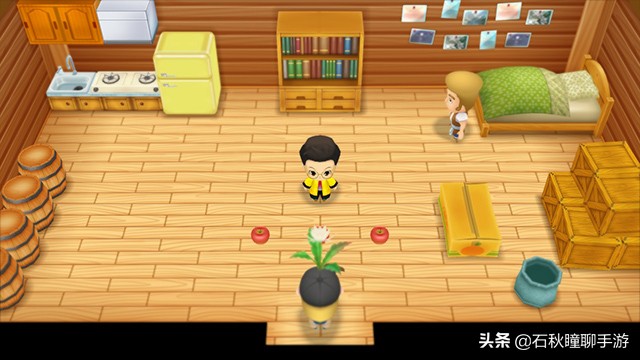 牧场物语重聚矿石镇下矿,牧场物语重聚矿石镇下矿收益