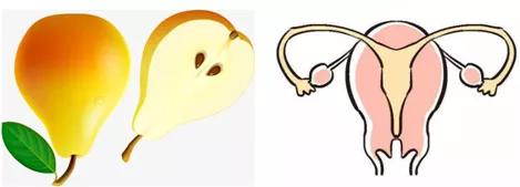 关于子宫卵巢的知识,关于盆底你了解多少