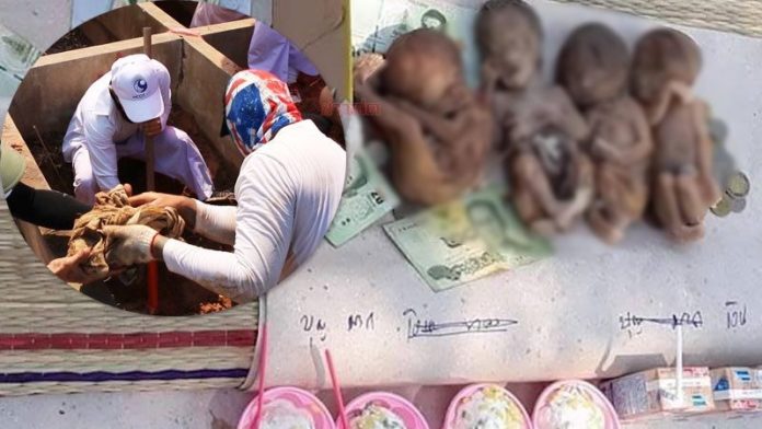 泰国墓地挖古尸,泰国墓地挖出古尸