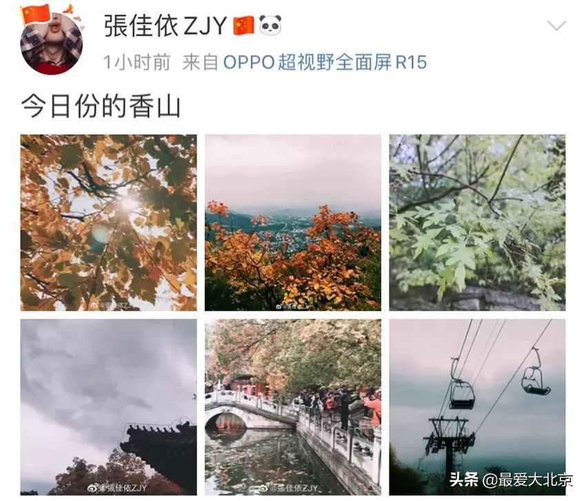 香山红叶几月去最好香山用预约吗,去北京香山看红叶别去爬山吗