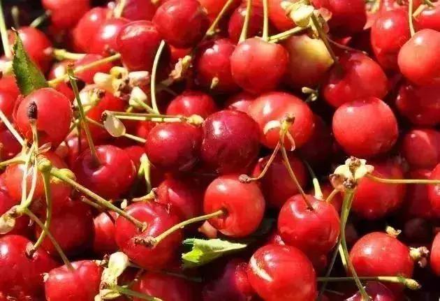 王府井内幕交易被通报新闻,王府井百货造谣事件