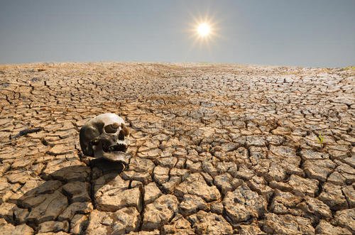 为什么人类看见尸体会害怕,为什么人会对尸体有恐惧感