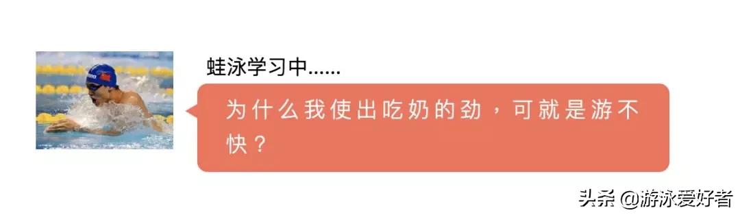 蛙泳易学还是自由泳好学,蛙泳如何游得又快又稳