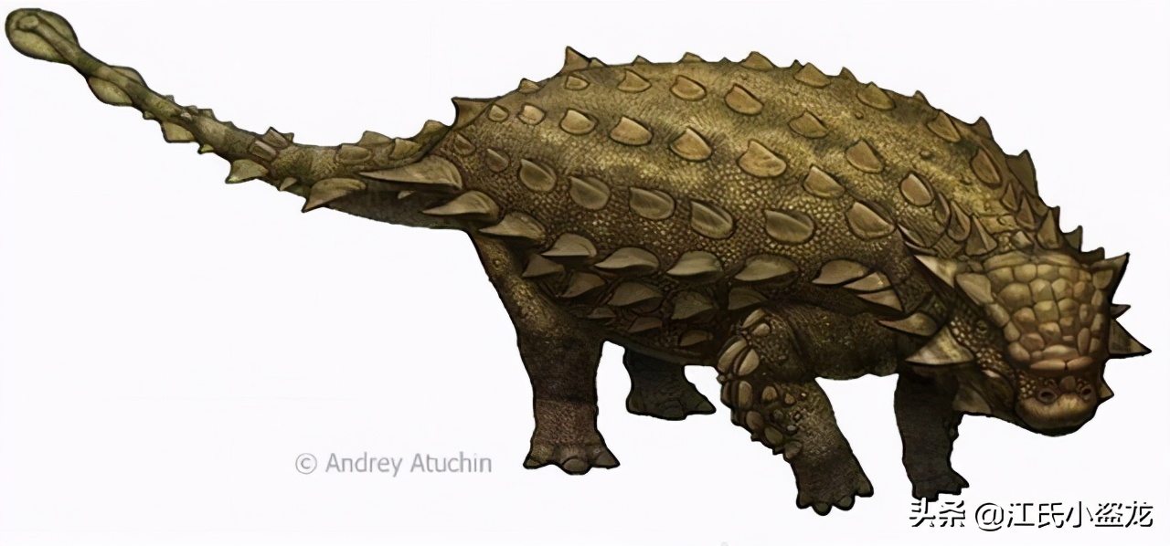 古生物时代有多少种恐龙,人类已经发现了多少恐龙种类