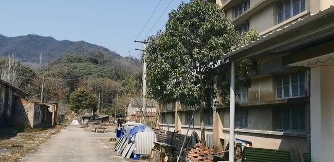池州一军工厂，规模庞大云集业内尖端人才，如今人去楼空十分荒凉