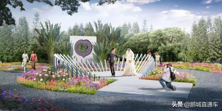 迎新春千万盆年宵花投放北京市场,春节购花指南