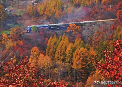 滨绥铁路是电气化铁路吗,滨绥铁路290公里