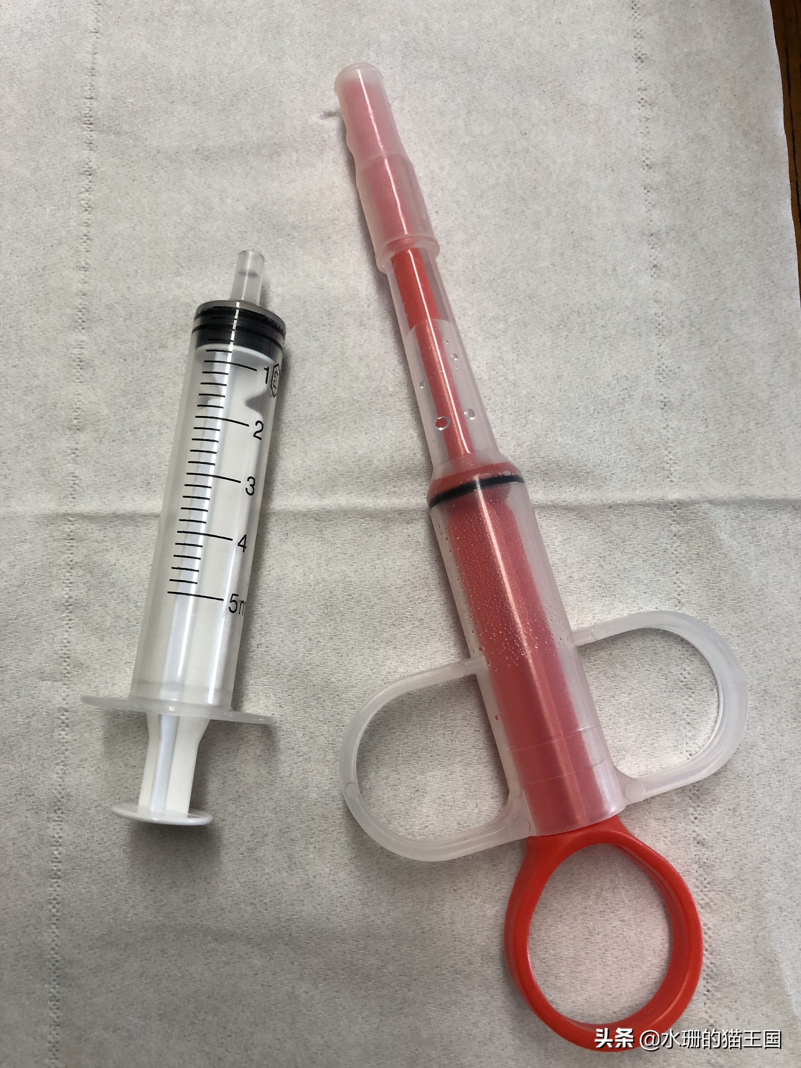 猫咪吃药口吐白沫，还难吃的哭了，到底怎么给猫喂药？正解在此