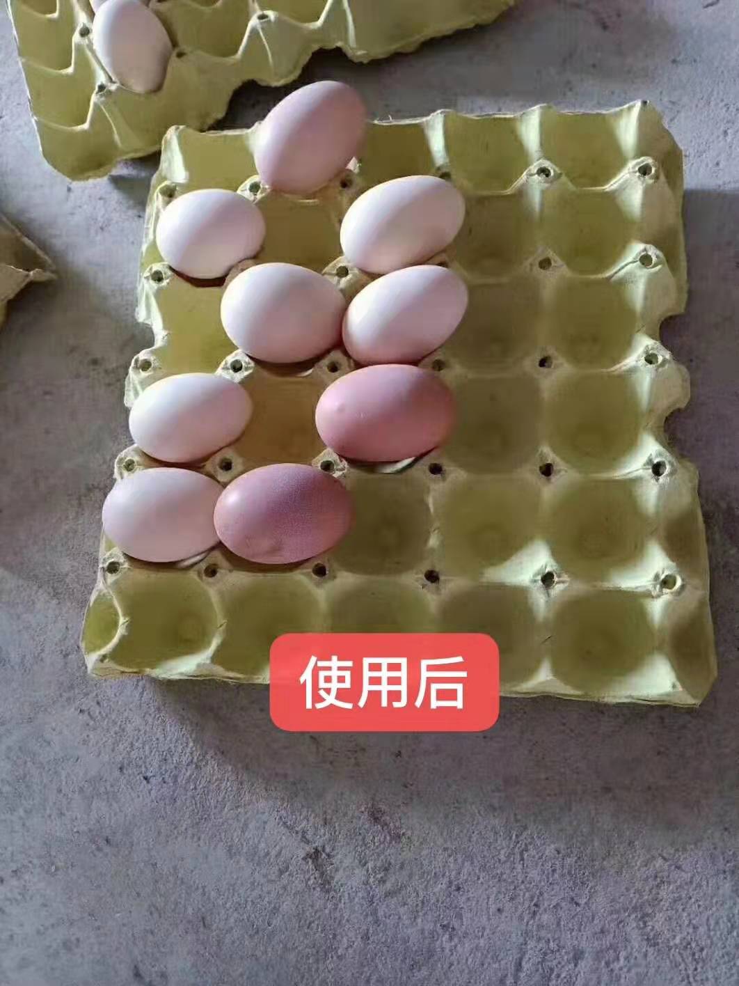 下软壳蛋最快的方法,常下软壳蛋怎么办