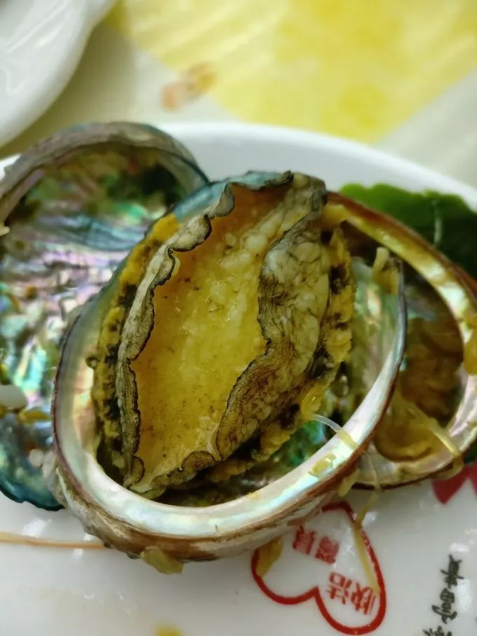 上海自驾舟山桃花岛游路线推荐,从上海去桃花岛如何安排行程