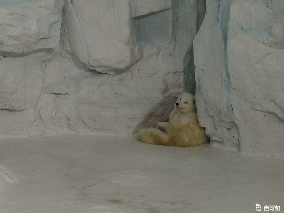 珠海长隆海洋王国亲子游攻略,珠海长隆海洋王国攻略亲子游