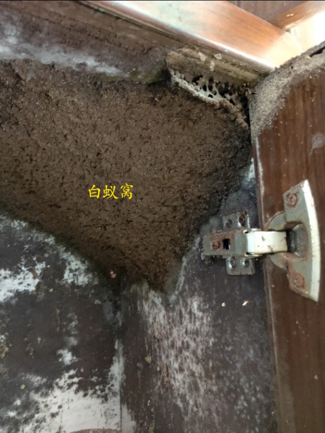 锐创环保解决方案,湛江市锐创环保技术