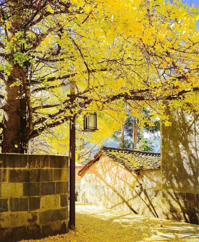 2020旅行时间表,2021年旅行时刻表出炉