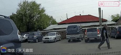 搞笑动图gif猫咪,搞笑动图gif狗