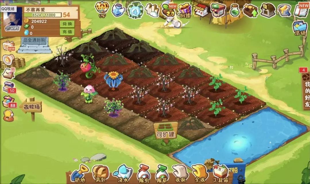 qq普通靓号怎么注销,qq普通靓号永久的怎么注销