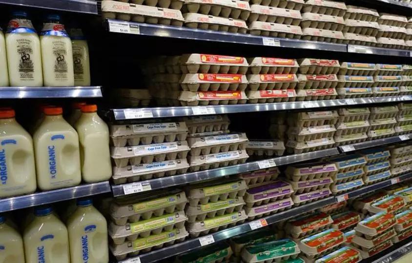 红皮鸡蛋和白皮鸡蛋哪个更有营养,红皮鸡蛋比白皮鸡蛋更有营养价值