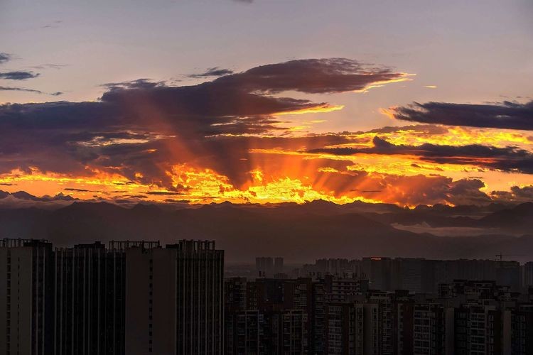 陈志敏访谈,陈志敏书法慢速书写