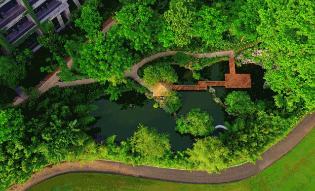 星爷同款电动大床,星爷同款床