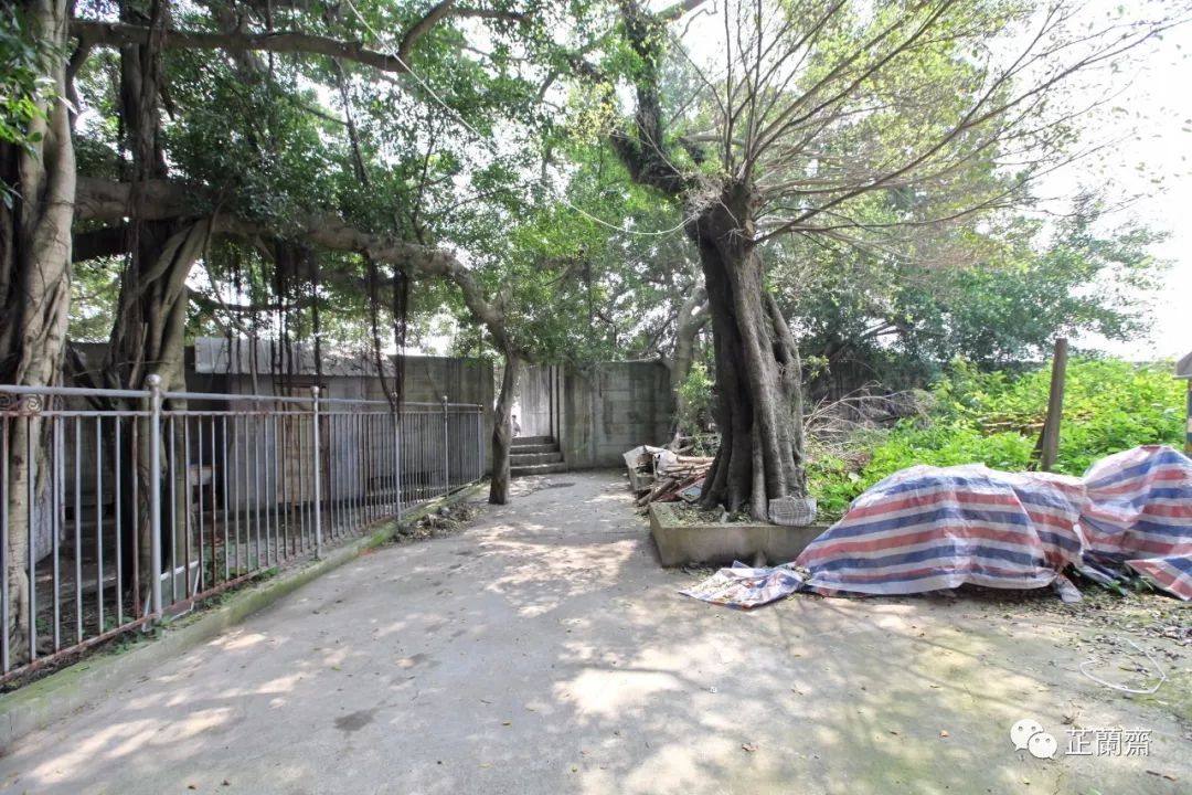 福建仓山观澜书院,福建省观澜书院